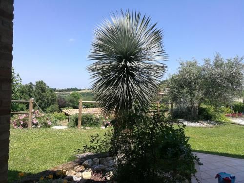 Outdoor Pictures 23