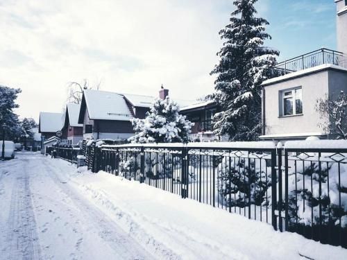 Outdoor Pictures 15