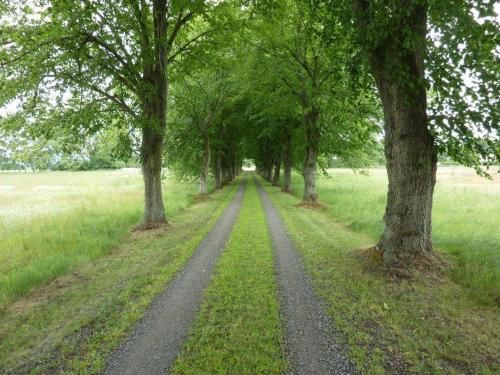 Outdoor Pictures 7