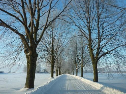 Outdoor Pictures 8