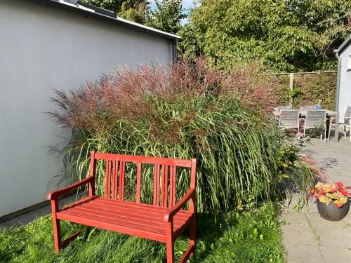 Outdoor Pictures 7