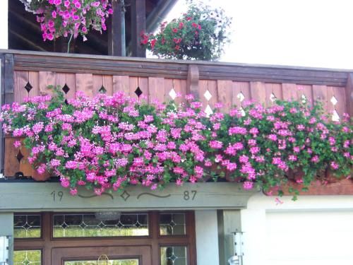 Outdoor Pictures 9