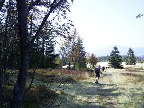 Outdoor Pictures 24