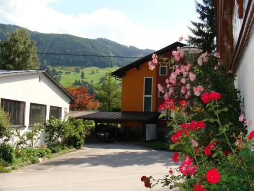 Outdoor Pictures 12
