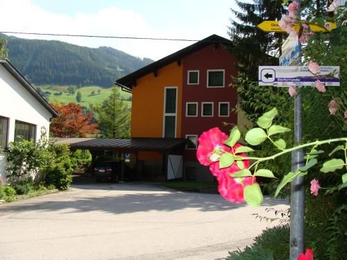 Outdoor Pictures 19