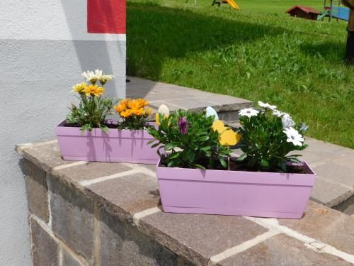 Outdoor Pictures 7