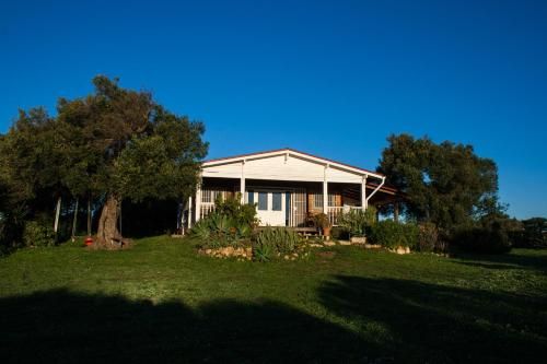 Outdoor Pictures 6