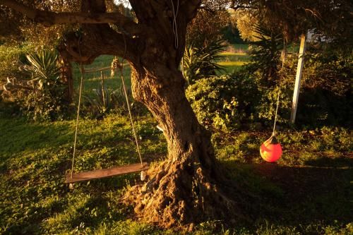 Outdoor Pictures 12