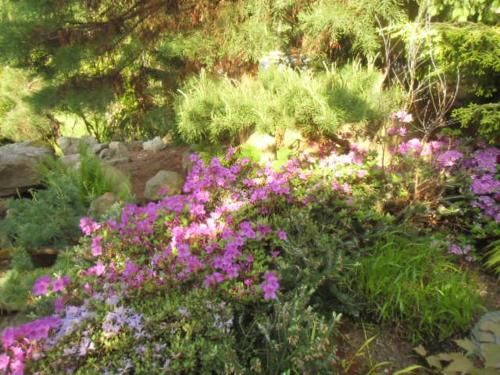 Outdoor Pictures 15