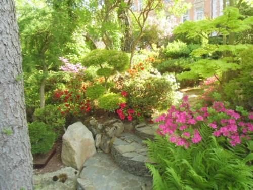 Outdoor Pictures 16