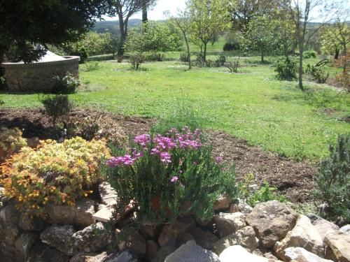 Outdoor Pictures 24