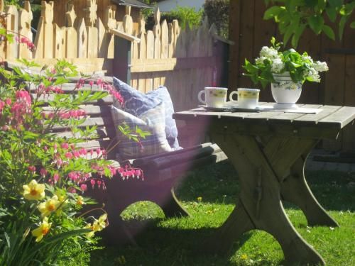 Outdoor Pictures 21