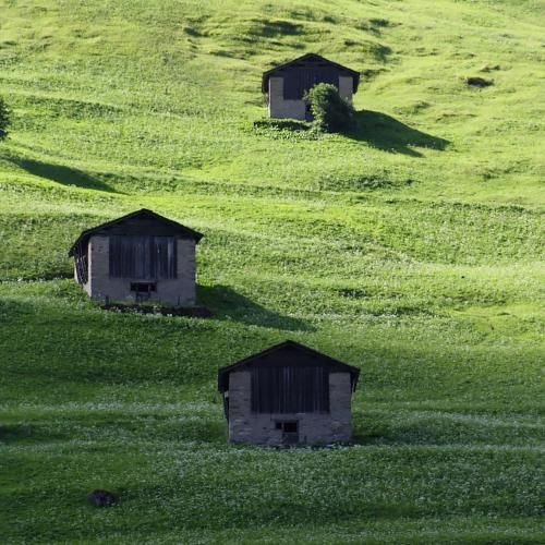 Outdoor Pictures 9