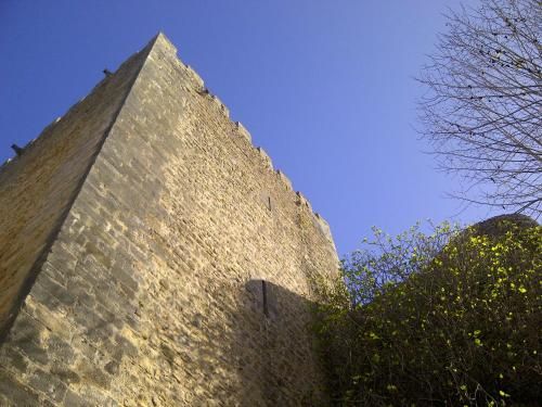 Outdoor Pictures 15