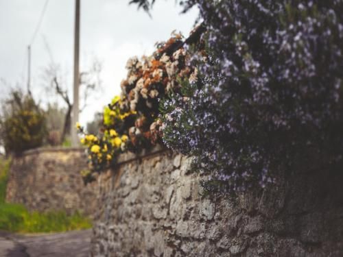 Outdoor Pictures 1