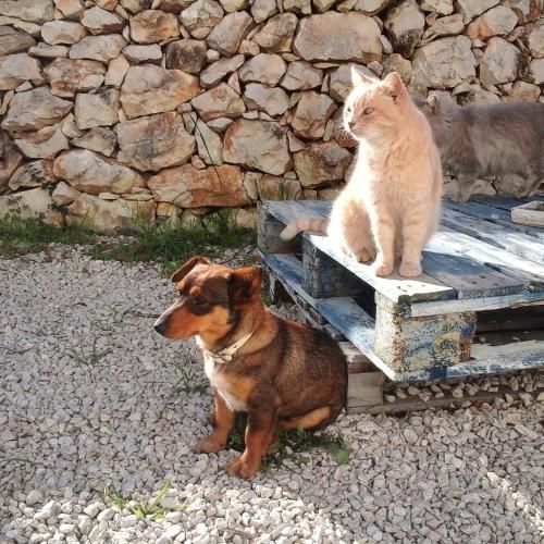 Outdoor Pictures 7