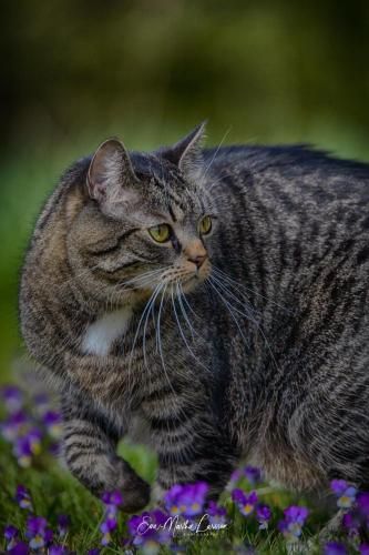 Outdoor Pictures 16