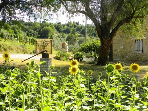 Outdoor Pictures 20