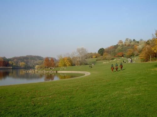 Outdoor Pictures 17