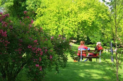 Outdoor Pictures 16