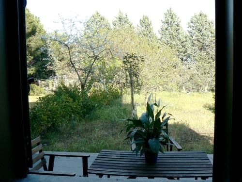 Outdoor Pictures 7