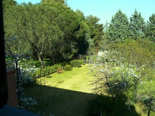 Outdoor Pictures 10
