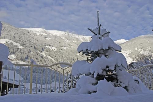 Outdoor Pictures 13