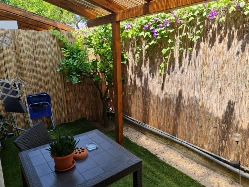 Outdoor Pictures 22