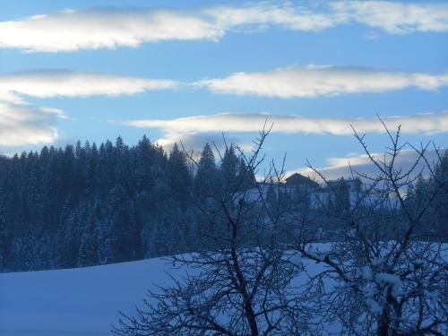 Outdoor Pictures 16