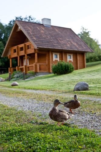 Outdoor Pictures 8