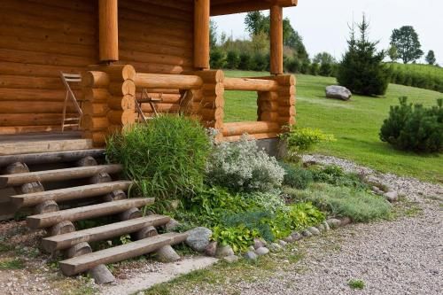 Outdoor Pictures 11