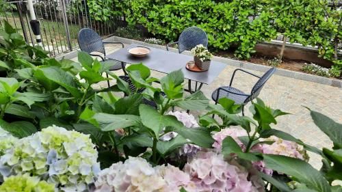 Outdoor Pictures 24