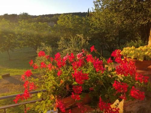Outdoor Pictures 22