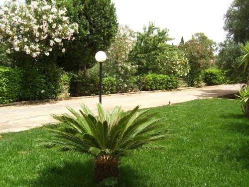 Outdoor Pictures 20