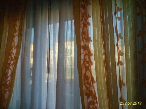 Outdoor Pictures 17