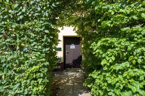 Outdoor Pictures 10