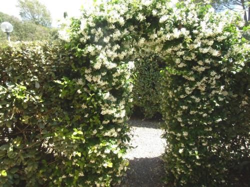 Outdoor Pictures 19