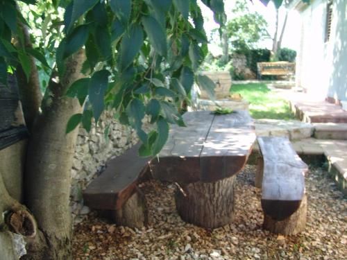 Outdoor Pictures 15