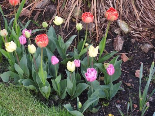 Outdoor Pictures 22