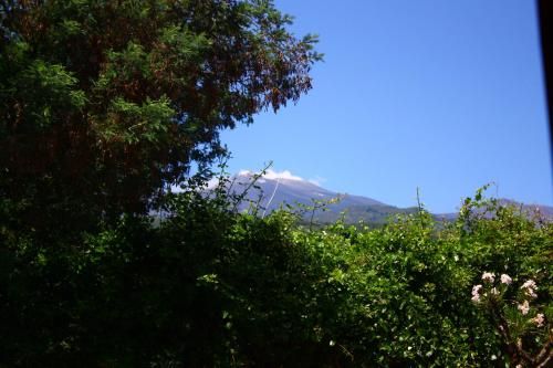 Outdoor Pictures 22