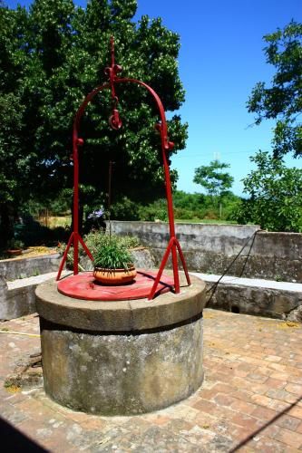 Outdoor Pictures 23