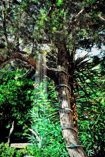 Outdoor Pictures 15