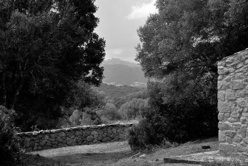 Outdoor Pictures 19