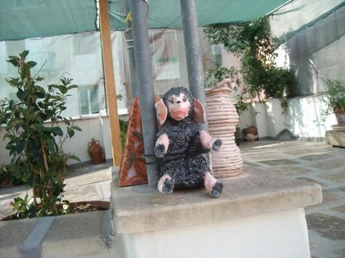 Outdoor Pictures 5