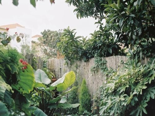 Outdoor Pictures 11