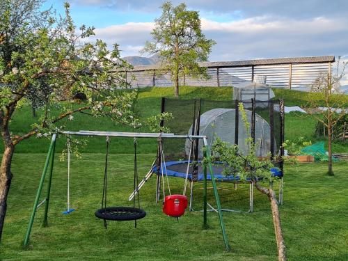 Outdoor Pictures 5
