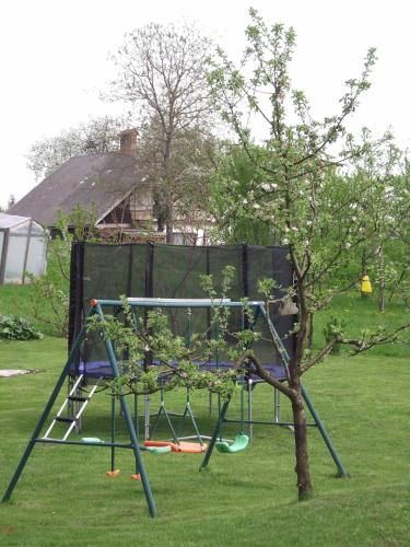Outdoor Pictures 6