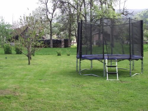 Outdoor Pictures 7