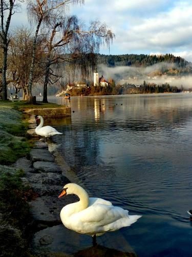 Outdoor Pictures 17