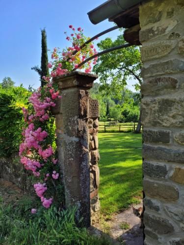 Outdoor Pictures 11